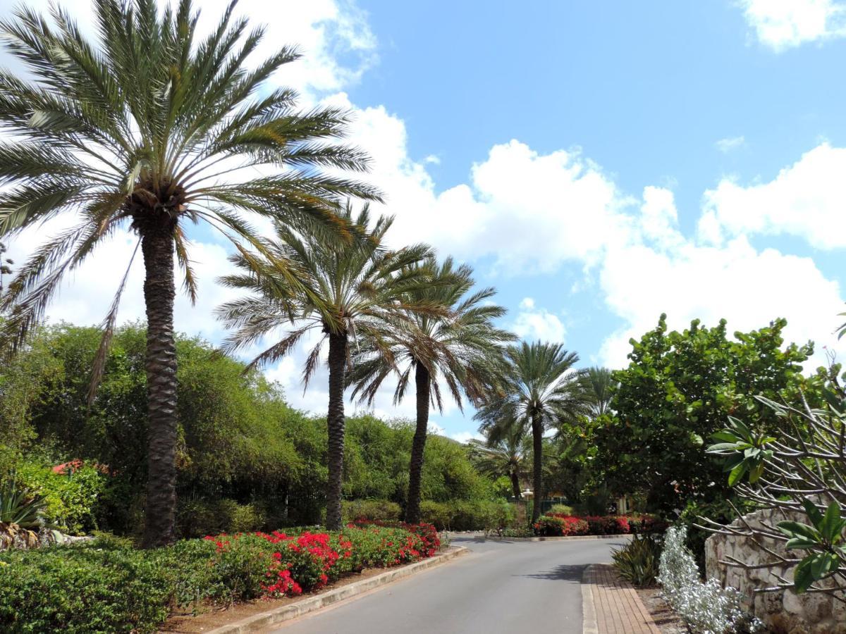 Piscadera Bay Resort 24 Willemstad Eksteriør bilde